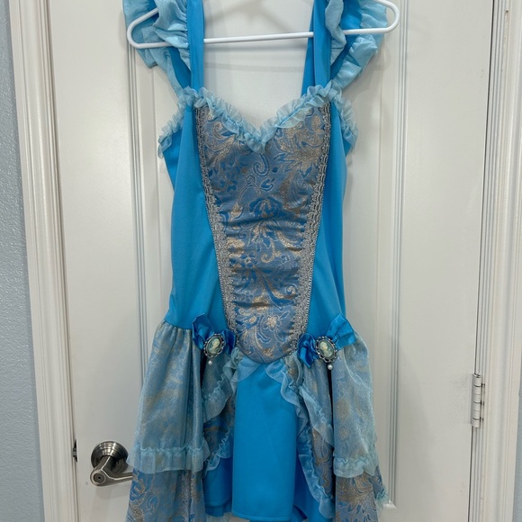 Cinderella Costume Dress- worn once - great condition! - Picture 5 of 9